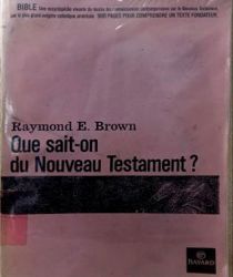 QUE SAIT-ON DU NOUVEAU TESTAMENT ?